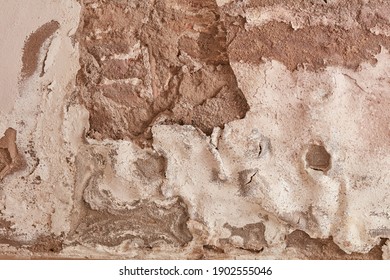 
Plaster Damaged By Rising Damp