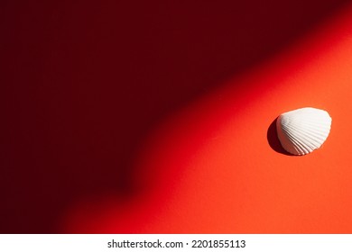 plaster figure of a shell on a red background