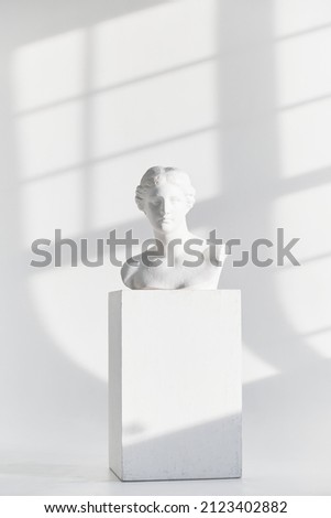 the plaster head of an antique girl stands on a pedestal on a white background