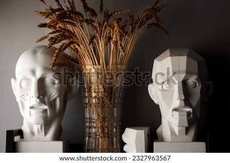 plaster heads for the technique of drawing shadows. heads with faces for drawing