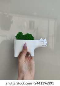Plaster planter in the shape of a white cat with stabilized moss inside. Handmade decorative items for home or office.