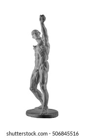 Plaster Statue Naked Anatomical Human Figure Stock Photo Shutterstock