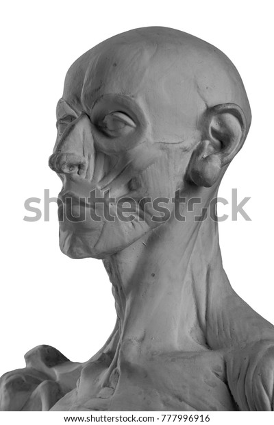 Plaster Statue Naked Man Anatomically Shaped Stock Photo Shutterstock