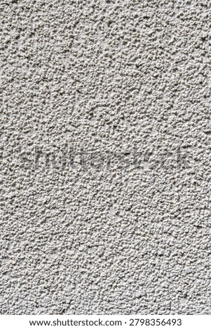 Plaster texture as a background for further work.