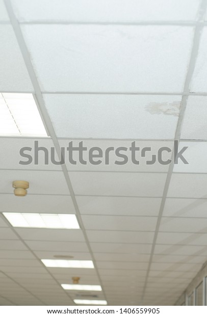 Plasterboard Ceiling Mold Damage Office Stock Image Download Now