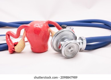 Plastic anatomical demonstration teaching model of uterus with ovaries and appendages front view with stethoscope that surround it. Concept photo for diagnostic of female diseases, pregnancy, research - Shutterstock ID 2098847989