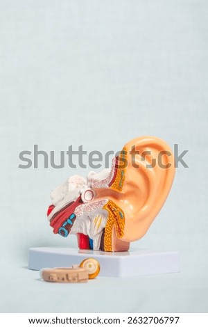 Plastic anatomical model of human ear showing inner ear structure with hearing aid device placed near, illustrating concept of hearing loss treatment