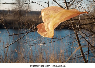 plastic bag hanging on a branch