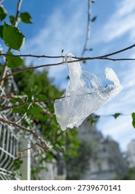 Plastic bag trapped on tree branches against blue sky. environmental pollution and ecological crisis concept.
