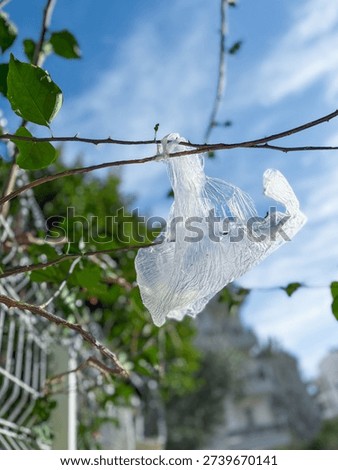 Plastic bag trapped on tree branches against blue sky. environmental pollution and ecological crisis concept.
