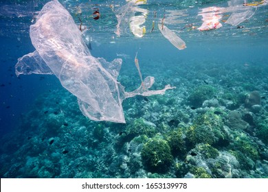 Plastic bags kill, pollution from single use plastic floats over otherwise pristine coral reef, Bunaken, Indonesia 