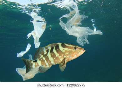 Plastic Bags Pollution In Ocean With Fish  