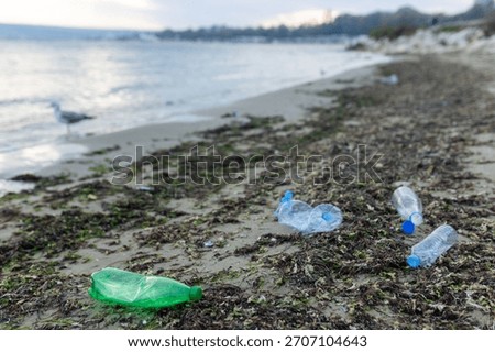plastic bottle discarded on a polluted beach, symbolizing ocean pollution, environmental damage and urgent need for coastal cleanup and sustainability awareness.