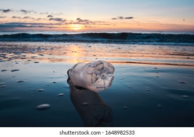 Plastic Bottle Litter And Trash Washed Up On A Sunny Sandy Luxurious Beach Destination. Environmental Plastic Pollution Issue Causing World  News. Health Disaster On Beach Shore                       