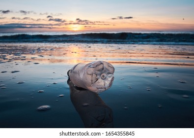 Plastic Bottle Litter And Trash Washed Up On A Sunny Sandy Luxurious Beach Destination. Environmental Plastic Pollution Issue Causing World  News. Health Disaster On Shores                           