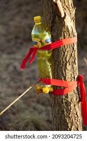 A Plastic Bottle Was Reused And Cut To Make A Bird Feeder In The Winter. Seeds Are In It. The Bird Feeder Is Hanging From A Tree.