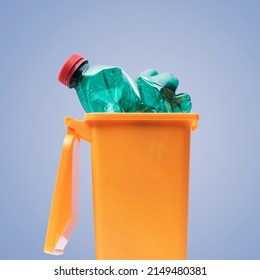 Plastic Bottle In A Small Garbage Can, Recycling And Separate Waste Collection Concept