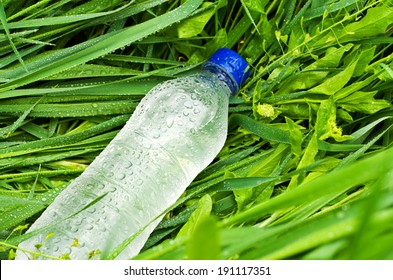 3,172 Growing plants plastic bottles Images, Stock Photos & Vectors ...