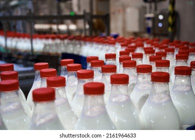 Plastic bottles filled with pasteurized milk on a factory conveyor. - Powered by Shutterstock