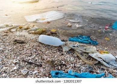 Plastic Bottles On Sea Beach Stock Photo (Edit Now) 1282011307