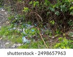 Plastic bottles and trash littering a forest floor with green foliage. Litter in the park. Concept of environmental pollution, waste management, and nature conservation. High quality photo