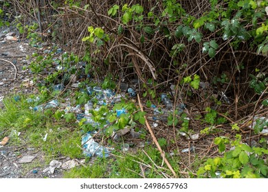 Plastic bottles and trash littering a forest floor with green foliage. Litter in the park. Concept of environmental pollution, waste management, and nature conservation. High quality photo - Powered by Shutterstock