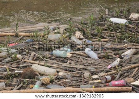 Plastic bottom garbage at mangrove,Enviroment Problem