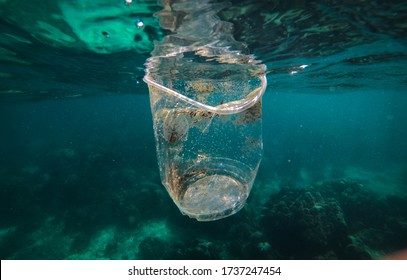 Plastic cup floating in the Andaman Sea, Thailand