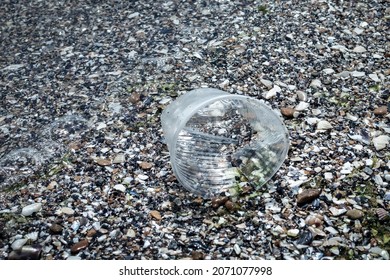 A plastic cup lies on the shore among stones and shells. Plastic garbage pollution concept.