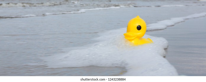 Plastic Duck On Wadden Sea