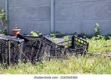 Plastic Empty Black Boxes Stacked Together For Plants Or Harvest. On A Sunny Day In Early Spring. Gardening Concept. Household Crop Collection And Storage Boxes Standing In The Backyard