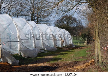 plastic farm cultivation tunnels