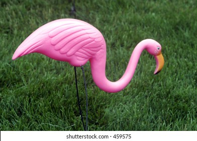 Plastic Flamingo On Lawn