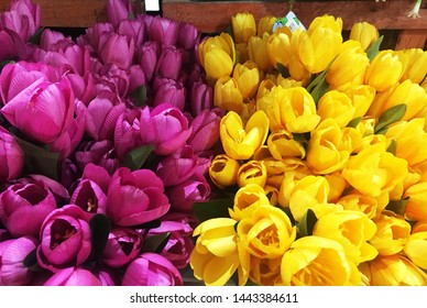 Plastic Vase Images Stock Photos Vectors Shutterstock