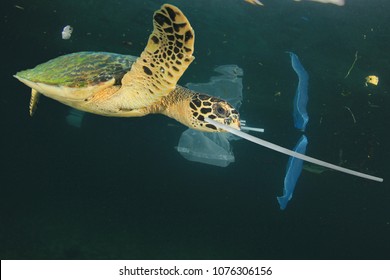 Plastic garbage dumped in ocean. Threats to marine life. Sea Turtle eats straws and bags, mistaking them for food