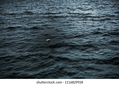 Plastic garbage floating alone in the Pacific Ocean. Sea garbage problem.