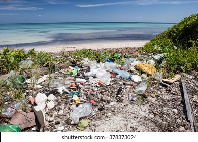 Plastic garbage has washed up on a remote beach in the Caribbean Sea. Toxins from plastic can enter the food chain and threaten marine life and human health.