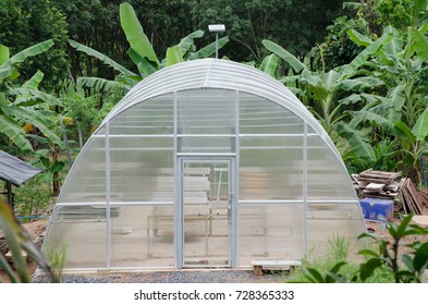 Plastic Glass House Barn Drying Plants Stock Photo 728365333 | Shutterstock