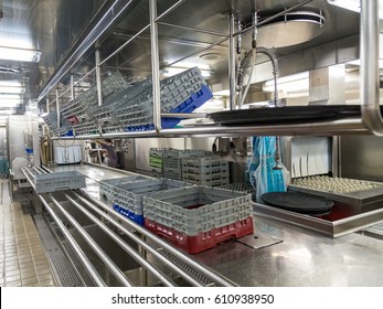 Plastic Glass Racks In Commercial Dishwashing Kitchen