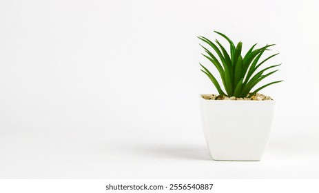 Plastic green plants in pots. Fake plant in a pot isolated on a white background. Interior decoration