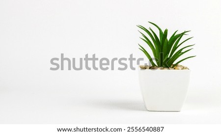 Plastic green plants in pots. Fake plant in a pot isolated on a white background. Interior decoration
