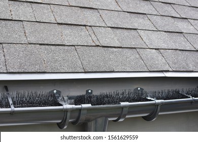 Plastic Guard Brush In New Dark Grey Plastic Rain Gutter On Asphalt Shingles Roof.
