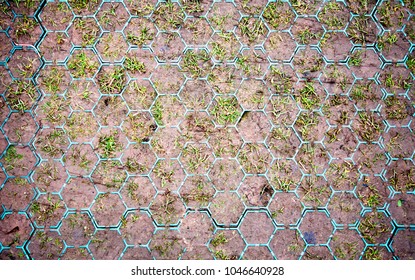 56 Non slip footpath Images, Stock Photos & Vectors | Shutterstock