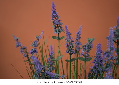 Plastic lavender flower on red Background