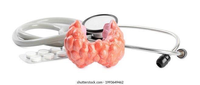 Plastic model of afflicted thyroid, pills and stethoscope on white background - Shutterstock ID 1993649462