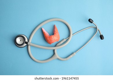 Plastic model of afflicted thyroid and stethoscope on light blue background, flat lay - Shutterstock ID 1961147455