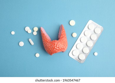 Plastic model of healthy thyroid and pills on light blue background, flat lay