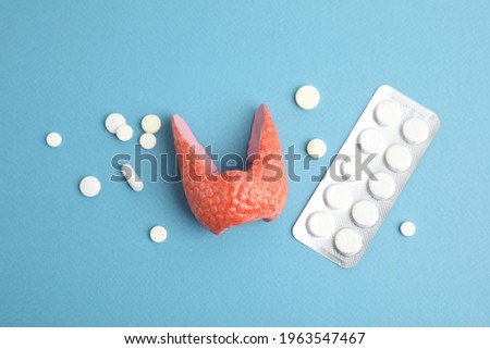 Plastic model of healthy thyroid and pills on light blue background, flat lay