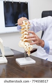 Plastic model of spine on table of osteopath