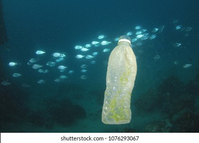 Plastic Ocean Pollution. Plastic Bags, Bottles, Straws And Cups Pollute The Sea. Underwater Reef Environmental Problem 